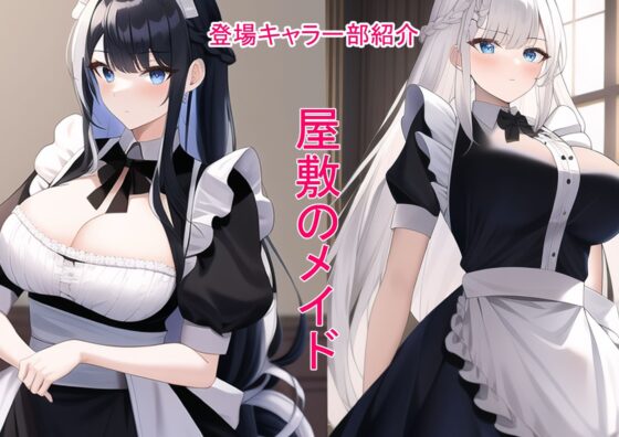 RPG世界に転生した俺たち異世界の住人を好き勝手犯します！(黒猫の館) - FANZA同人