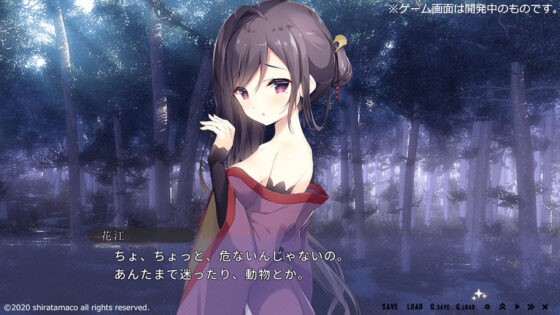 星空鉄道とシロの旅(しらたまこ) - FANZA同人