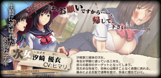 密室プレイ 〜三姉妹徹底破壊〜(SPT) - FANZA同人