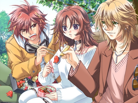 ブラザーズ～恋するお兄さま&もっと恋するお兄さま～ [ティアラモード] | DLsite 美少女ゲーム - R18