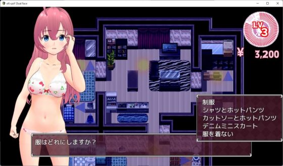 エクスタシィ・デュアルフェイス(6colors) - FANZA同人