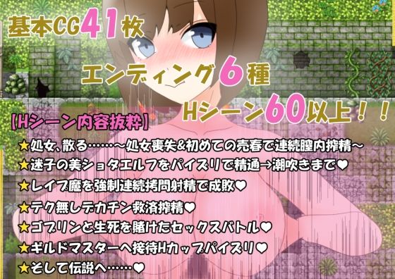 極貧女冒険者の生活のための性活(大きな円周率) - FANZA同人