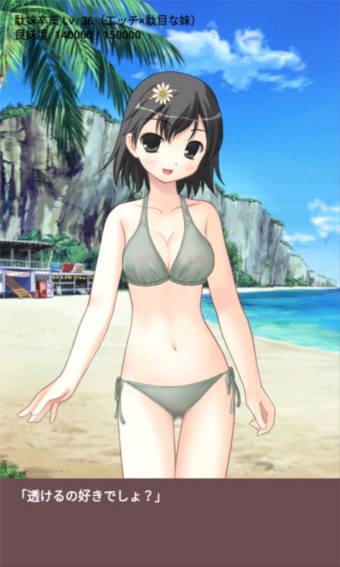 エッチを知らない世界でいちばん残念な妹【apkファイル単体の販売です】(Team Moko App.) - FANZA同人