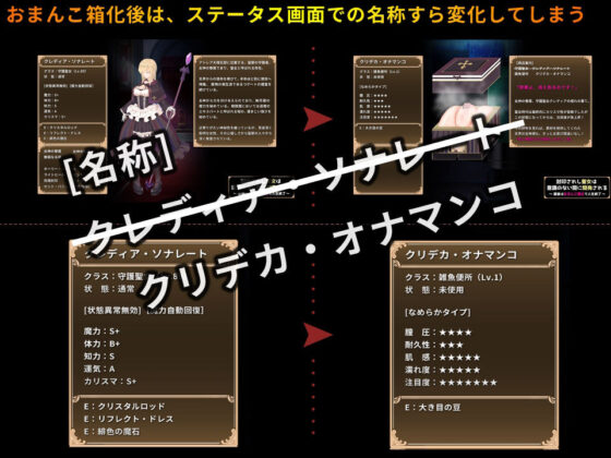 封印されし聖女は意識のない間に開発される 〜最後はおまんこ箱化で人生終了〜(無様な末路) - FANZA同人