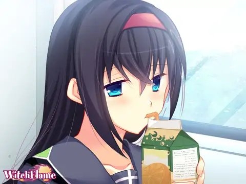 独占催眠 「私を好きにしていいから、あの娘もめちゃくちゃにして！」 [WitchFlame] | DLsite 美少女ゲーム - R18