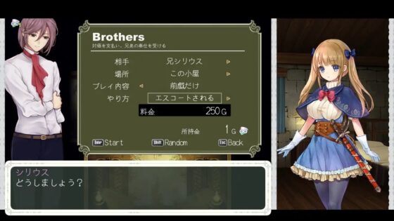 シュヴァリエ・ヒストリエ 完全版 [PICOPICOSOFT] | DLsite 同人 - R18