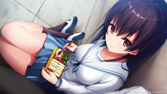 お兄ちゃん、手伝って！〜夜の花嫁修業を頼まれて…〜(アンモライト) - FANZA同人