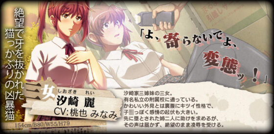 密室プレイ 〜三姉妹徹底破壊〜(SPT) - FANZA同人