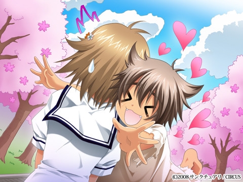 D.C. Girl's Symphony ～ダ・カーポ～ ガールズシンフォニー [サンクチュアリ] | DLsite PCソフト