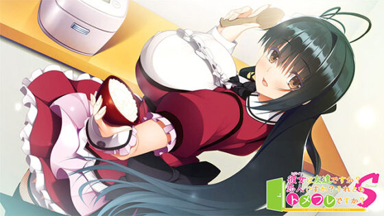 【DL版】彼女（ヒロイン）は友達ですか？恋人ですか？それともトメフレですか？Second 