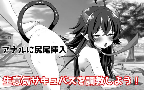 落ちこぼれの貧乳サキュバスと同棲する件 [てこめんと] | DLsite 同人 - R18