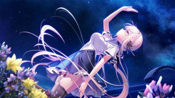 anemoi【一般版E15】 [Key] | DLsite PCソフト