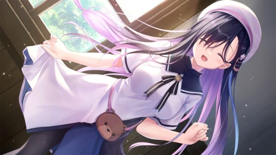 anemoi【一般版E15】 [Key] | DLsite PCソフト