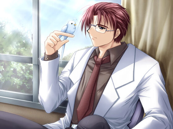 Angel’s Feather コンプリートセット