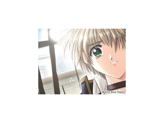 Angel’s Feather コンプリートセット