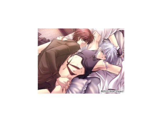 Angel’s Feather コンプリートセット