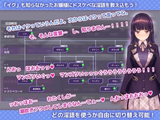 【スマホ版】洗脳アプリで清楚なお嬢様をドスケベ調教するシミュレーション [dobuworks] | DLsite