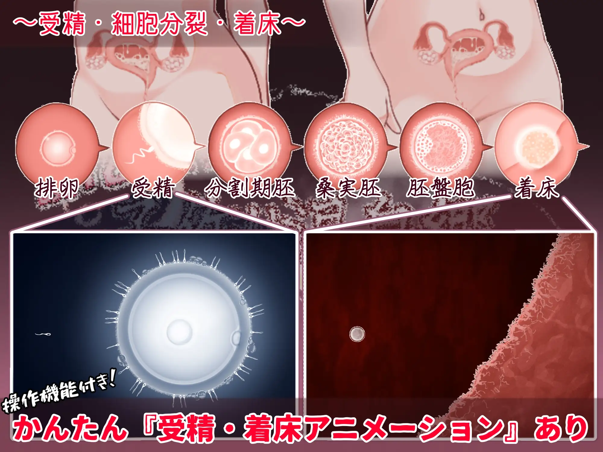 おいでませ！子作り温泉郷 [たいちょん工房] | DLsite 同人 - R18