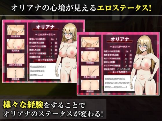 王国の勇騎士オリアナ [ぽんこん堂] | DLsite 同人 - R18